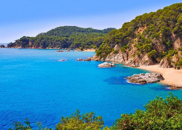 Fenals By Interhome 公寓 *